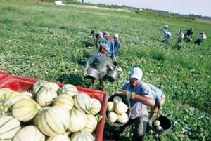 La commune de Tient en quête de développement Tlemcen profonde