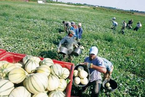 La commune de Tient en quête de développement Tlemcen profonde