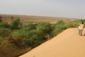 Agriculture saharienne : 115 000 emplois à créer