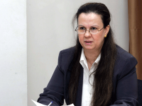 Le secteur de l'automobile objet de 750 critères L'Algérie a produit un total de 7 000 normes