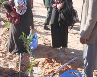 Constantine Des milliers d'arbustes plantés