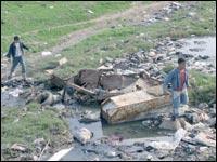 La leishmaniose en diminution