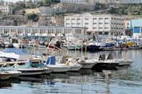 Exportation des produits de pêche : Les professionnels du secteur  réclament des mesures allégées