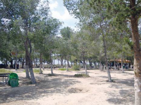 Le lac de Sidi M'hamed Benali sera proposé au classement «Ramsar» Sidi Bel Abbès