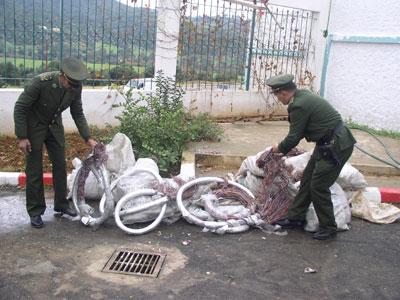 Le vol de câbles téléphoniques fait des ravages à Annaba La situation est devenue intenable
