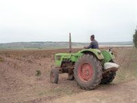 BISKRA Après l'agriculture, cap sur l'élevage