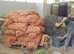 المضاربة تحكم قبضتها على سوق الجملة بسيدي بلعباس في انتظار السوق الجديدة