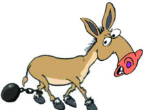 MASCARA : Un âne fait 7 ans de prison à la place du voleur