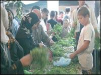 Les petits débrouillards investissent les rues