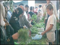 Les petits débrouillards investissent les rues