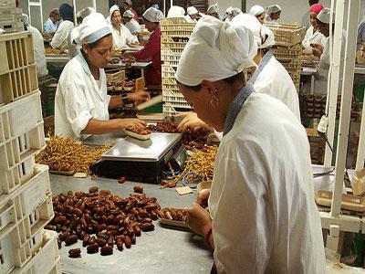 Une trentaine d'unités de conditionnement de dattes seront mises à niveau Pour développer les exportations de ce fruit