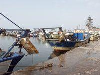 Pêche à AIn Témouchent Entrée en vigueur du repos biologique