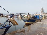 Pêche à AIn Témouchent Entrée en vigueur du repos biologique