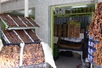 Le Sud, une source d'approvisionnement pour le Nord Salon International de l'Agriculture Saharienne à El Oued