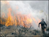 Des casemates, des bombes et l’argent du GSPC