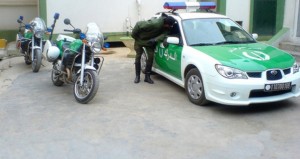 محلّ 5 أوامر بالقبض عليه في عدة ولايات : درك تيبازة يطيح بأخطر مُجرم مُحتال