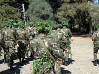 مصالح الأمن تحبط ثلاث محاولات تسلل إرهابيين إلى العاصمة خلال الشهر الماضي