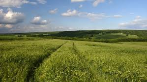 Potentialités agricoles de la région de Biskra : Des Allemands étudient les possibilités de partenariat