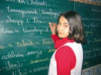 Son enseignement patine depuis son introduction à l'école en 1995 Tamazight, l'exemple à ne pas suivre !