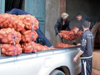 Pomme de terre : 250.000 tonnes seront stockées pour réguler le marché (responsable)