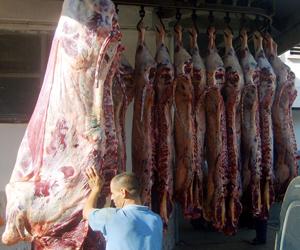 الحكومة تشرع في تخزين اللحوم الحمراء والبيضاء بهدف محاربة المضاربة والتهاب الأسعار