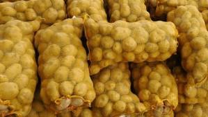 Régulation du marché : 250 000 tonnes de pomme de terre stockées