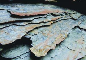 Ce n'est pas le moment, selon un responsable du CDER