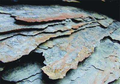 Ce n'est pas le moment, selon un responsable du CDER