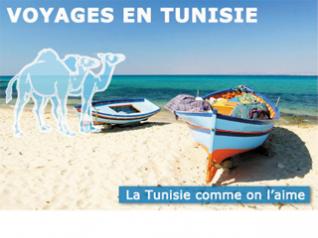 Tunisie: des dizaines d'agences de voyages menacées de fermeture
