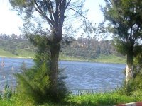 Journée mondiale des zones humides : pour un tourisme responsable en Algérie (DGF)