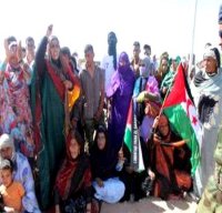 Le président sahraoui souligne l'