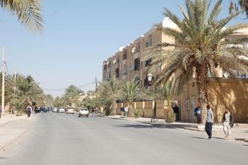 Santé : 90% des cas de paludisme en Algérie proviennent de l'immigration clandestine