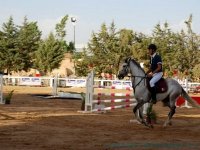 Concours régional (saut d'obstacles) : les cavaliers de Zéralda dominent la 1ère journée