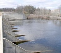 الشلف: تخصيص 70 مليون م3 من المياه لأغراض السقي الفلاحي