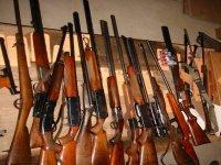 Restitution  progressive  des fusils de chasse à leurs propriétaires (Sellal)