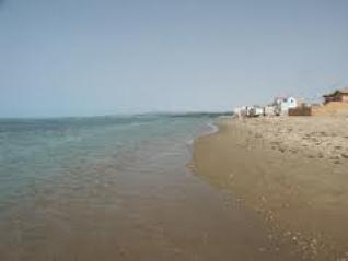 Plus de 6 millions d'estivants attendus sur les plages d'Alger pour la saison 2013