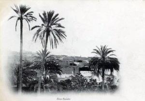 L'Oasis de Bou Saada