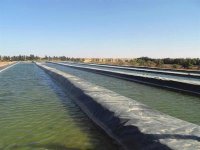 Aquaculture : lancement à Sétif du plan 2013 de campagne nationale d'ensemencement