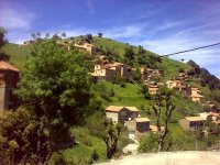 Tizi-Ouzou : la coupe du bois plus qu'un mauvais souvenir pour les habitants d'Ath Ziki