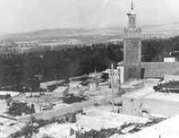 Environnement : Les Verts tirent la sonnette d'alarme