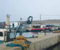 Un port de pêche à Gouraya (Tipaza) : Un nouvel atout économique