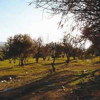 Zones montagneuses : Un programme pour développer l'agriculture