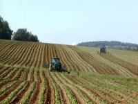 Agriculture : prochain programme de coopération entre l'Algérie et le FIDA