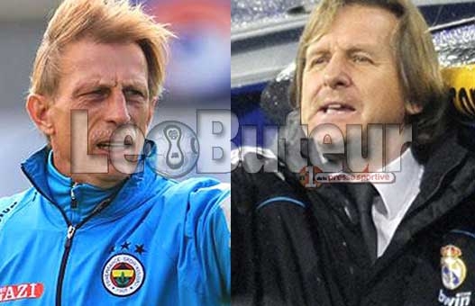 MCA : Daum et Schuster intéressés par entraîner le Mouloudia