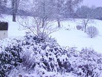 Météo-prévisions Importantes chutes de neige à partir de la nuit de jeudi sur plusieurs wilayas