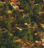 Catastrophe naturelle-Inondation de la vallée du M'zab : Le bassin versant du M'zab contrarié par l'urbanisation