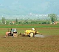 Mise en valeur des terres dans la zone de Fetzara : Des chiffres et des déceptions