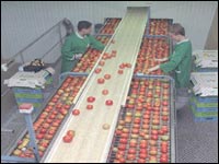 120 000 emplois menacés