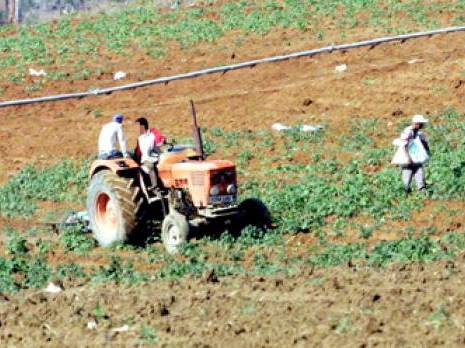 Concessions agricoles à Aïn Defla : 6860 dossiers déposés à l'ONTA Actu Centre : les autres articles