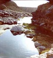 La culture targuie au menu